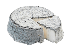 Export Fromage - Fromage de Chèvre - Selles sur Cher