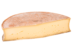 Cheese Export - Abondance