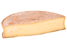 Cheese Export - Abondance Cheese Export - Abondance
