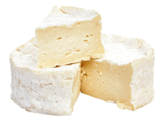 Cheese Export - Camembert