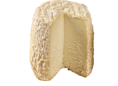 Export Käse - Chabichou