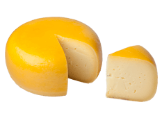 Cheese Export- Gouda