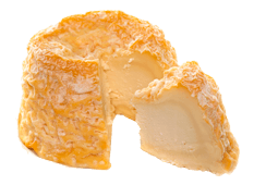 Cheese Export - Langres