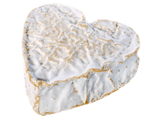 Export Fromage - Neufchâtel