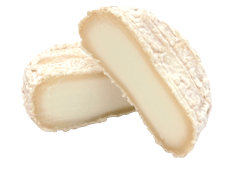 Export Käse - Picodon