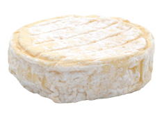 Export Fromage - Fromages à pâte molle - Saint Félicien