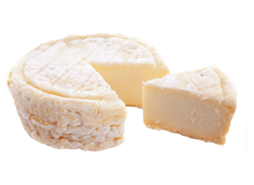 Exportación de queso - Saint Marcellin