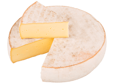 Cheese Export - Saint Nectaire Cheese Export - Saint Nectaire