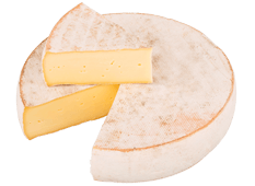 Exportación de queso - Saint Nectaire