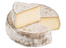 Cheese Export - Tomme de Savoie Cheese Export - Tomme de Savoie